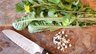 How to harvest prepare and use dandelion leaf and root for beauty and health [upl. by Saretta]