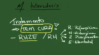 Mycobacterium tuberculosis e leprae  Resumo  Microbiologia [upl. by Bartel892]