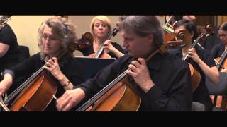 CLASSICAL MUSIC BEST OF STRAUSS The Blue Danube Waltz Op 314  HD [upl. by Marlena]