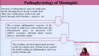 Pathophysiology of Infectious Diseases  Meningitis and Typhoid [upl. by Aysa]