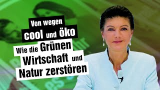 Von wegen cool und öko  wie die Grünen Wirtschaft und Natur zerstören [upl. by Anaud61]