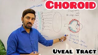 Anatomy and physiology of Uveal Tract  Choroid  Posterior Uvea [upl. by Bentlee]