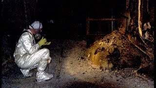 The Chernobyl Mystery Elephants Foot Explained [upl. by Anaiad18]