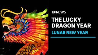 Lunar New Year 2024 What does the year of the dragon mean  ABC News [upl. by Bonns]