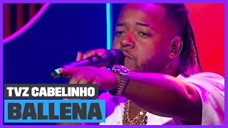 Vulgo FK canta BALLENA Ao Vivo  TVZ Cabelinho  Música Multishow [upl. by Wolff]