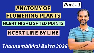 Anatomy of Flowering Plants in Tamil  Part 1  NCERT Line by line  TB 2025 [upl. by Lua]