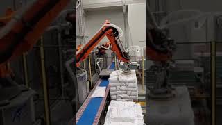 Automated Robotic Bag Depalletizing [upl. by Nnyrb868]