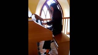 Wedding Organist Widor Les Magee NI Harpist [upl. by Acnaiv]