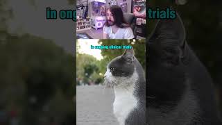 Moist Critical Reacts to New Cats Lifespan Medication penguinz0 moistcr1tikal cats catshorts [upl. by Suzie]