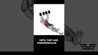 Dumbbell Flor Wipers dumbbellfloorwipers floorwipers abs absexercise absworkout [upl. by Ardnod151]