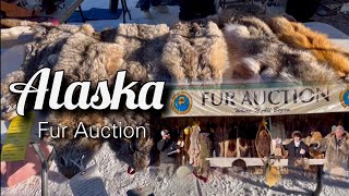 Fur Auction Fur Rondy 2024 Anchorage Alaska 022524 [upl. by Sisak]