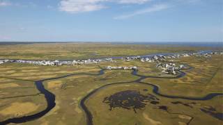 What makes a wetland a wetland [upl. by Josephine]