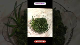 Cooking tasty Sautéed Spinach  پختن سبزی خوشمزه [upl. by Qerat]