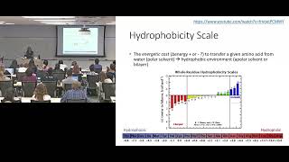 Hydrophobicity Scale Redux Better Plot Explanation [upl. by Akiehs876]