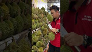 The Most Popular Durian Store in Malacca Malaysia  Fruit Cutting Skills [upl. by Nallad]