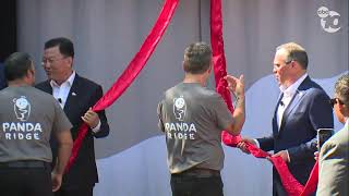 WATCH LIVE San Diego Zoo Panda Ridge opening ceremony [upl. by Yrac]