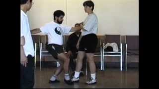 Tuishou Exercise 2  Yangjia Michuan Taijiquan [upl. by Damas172]