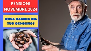 PENSIONI NOVEMBRE 2024 COSA CAMBIA NEL TUO CEDOLINO [upl. by Kumler]