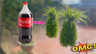 RECYCLE COCA COLA BOTTLES TO MAKE HANGING PLANT POTS RECYCLING AND CREATIVE [upl. by Yspyg]