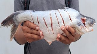 Pangasius Fish Fry Recipe  Amazing Way to Cutting Pangasius Fish  How To Cook Pangasius Fish [upl. by Oettam]