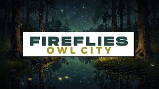 Owl City  Fireflies Lyrics [upl. by Roter]