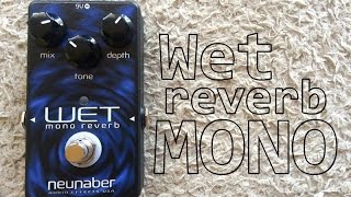 Neunaber Wet Reverb MONO V4  Review PTBR [upl. by Hertberg]