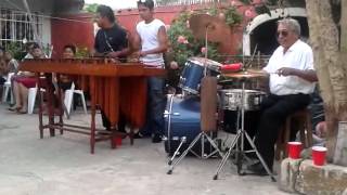 Marimba del sureste que rico el mambo veracruz [upl. by Ynamrej]