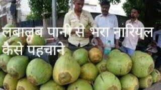 99लोगो को नारियल पानी की पहचान नहीं होती।coconut water। कैसे पहचाने ज्यादे पानी वाला नारियल [upl. by Erehc]