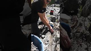 Asmr Gold panning goldpanning goldprospecting asmr [upl. by Chun]