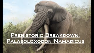 Prehistoric Breakdown Palaeoloxodon Namadicus [upl. by Joana200]