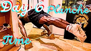 How to Train for a Full Planche Calisthenics [upl. by Enineg917]