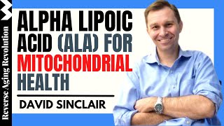 DAVID SINCLAIR quotAlpha Lipoic Acid For Mitochondrial Healthquot  Dr David Sinclair Interview Clips [upl. by Sauers]