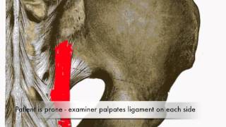 Provocation of Long Dorsal Sacroiliac Ligament Test CR [upl. by Ailey]