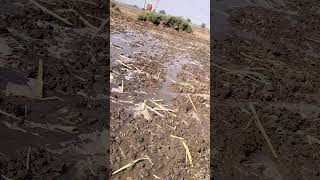 Deshi balak video farming viralvideo [upl. by Werda173]