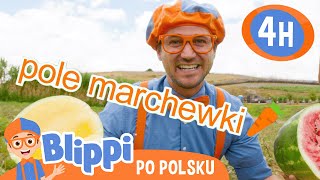 Blippi zbiera pomarańcze na farmie [upl. by Ahrendt]