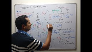 Adrenergic Pharmacology Part 1 [upl. by Yblehs]