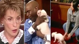 Judge Judy Lets A Stolen Dog Loose In Court So It Could Identify Its True Owner [upl. by Ahtennek218]