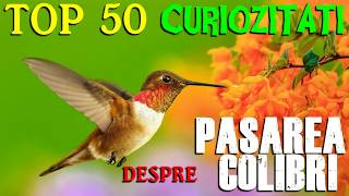 TOP 50 CURIOZITATI DESPRE PASAREA COLIBRI [upl. by Ateekahs]