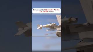 How does the Sidewinder Air to Air Missile Work fyp fypシ゚ [upl. by Ahtaga]