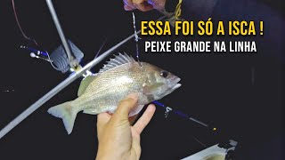 PESCARIA NOTURNA EM ALTO MAR  VIRAMOS A NOITE PESCANDO [upl. by Nomit]