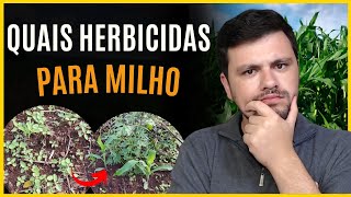 Quais os PRINCIPAIS HERBICIDAS para milho [upl. by Sebastien340]