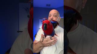 Veterinarians LOVE this parrot [upl. by Talie]