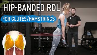 Banded Barbell Romanian Deadlift RDL  Proper Technique for Targeting Glutes [upl. by Michaeu549]