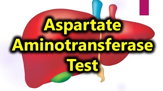 AST test  Aspartate aminotransferase test  liver function test [upl. by Bennet]