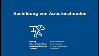 Ausbildung von Assistenzhunden – Einräumen der Waschmaschine [upl. by Arnulfo]