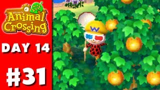 Animal Crossing New Leaf  Part 31  Fruit Farming Nintendo 3DS Gameplay Walkthrough Day 14 [upl. by Catherine122]