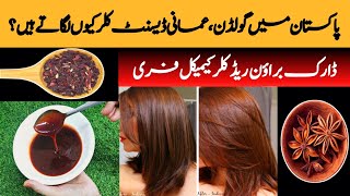 DARK BROWN HAIR DYE AT HOME HAIR DYE IN 10 MIN 100ORGANIC HAIR DYE AMAZING RESULT [upl. by Argyle]