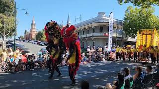 Lion amp Dragon Dance parade at Bendigo Easter Parade 2024 liondance easter parade [upl. by Zerimar54]