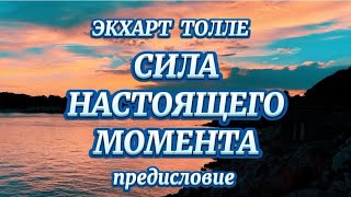 СИЛА НАСТОЯЩЕГО МОМЕНТА ЭКХАРТ ТОЛЛЕ  аудиокнига [upl. by Grimes14]