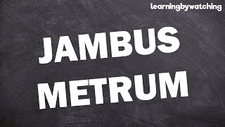 Jambus Metrum einfach erklärt [upl. by Arraeis]